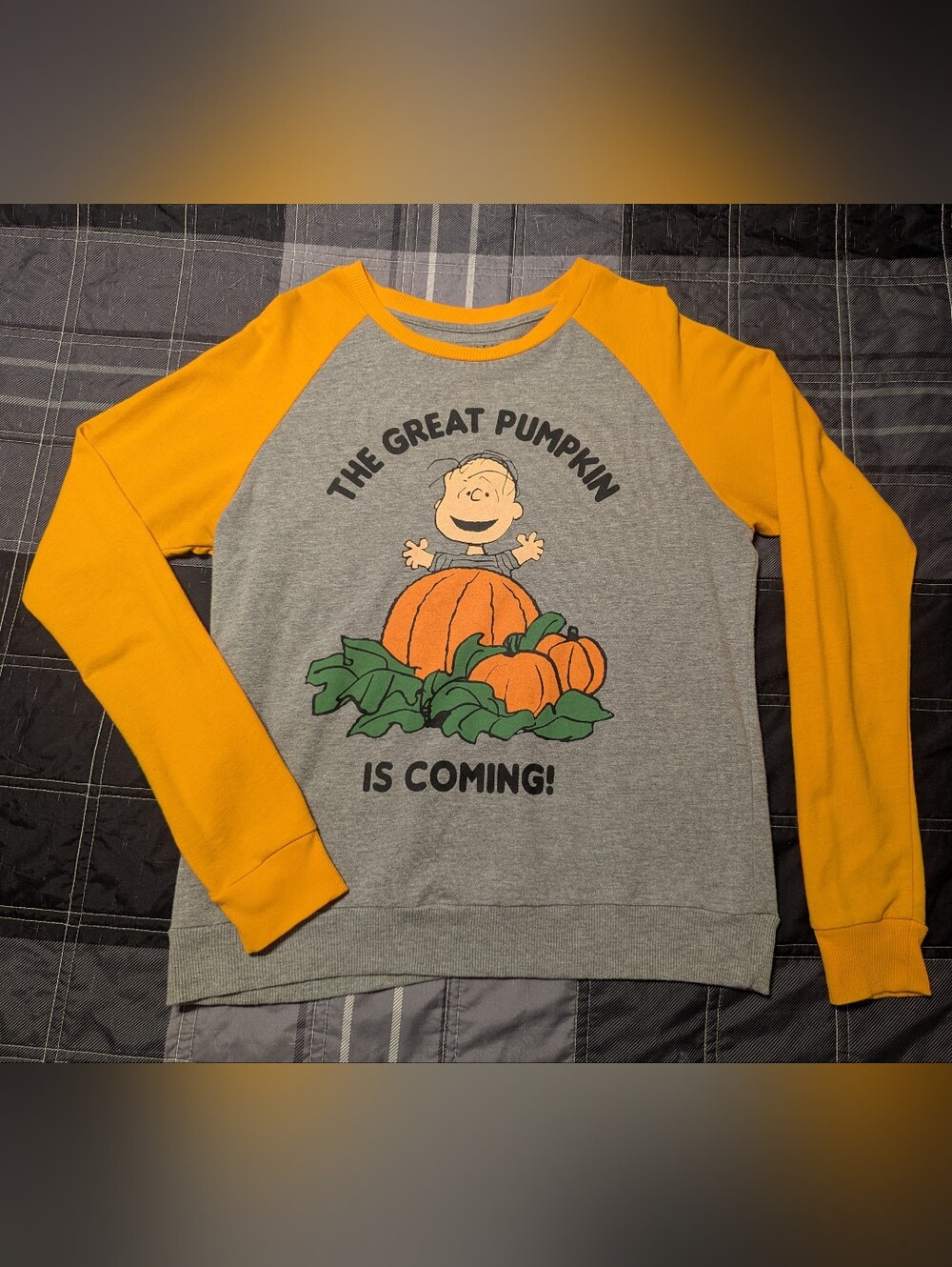 Peanuts The Great Pumpkin Charlie Brown Linus Halloween Shirt Small Gray Orange